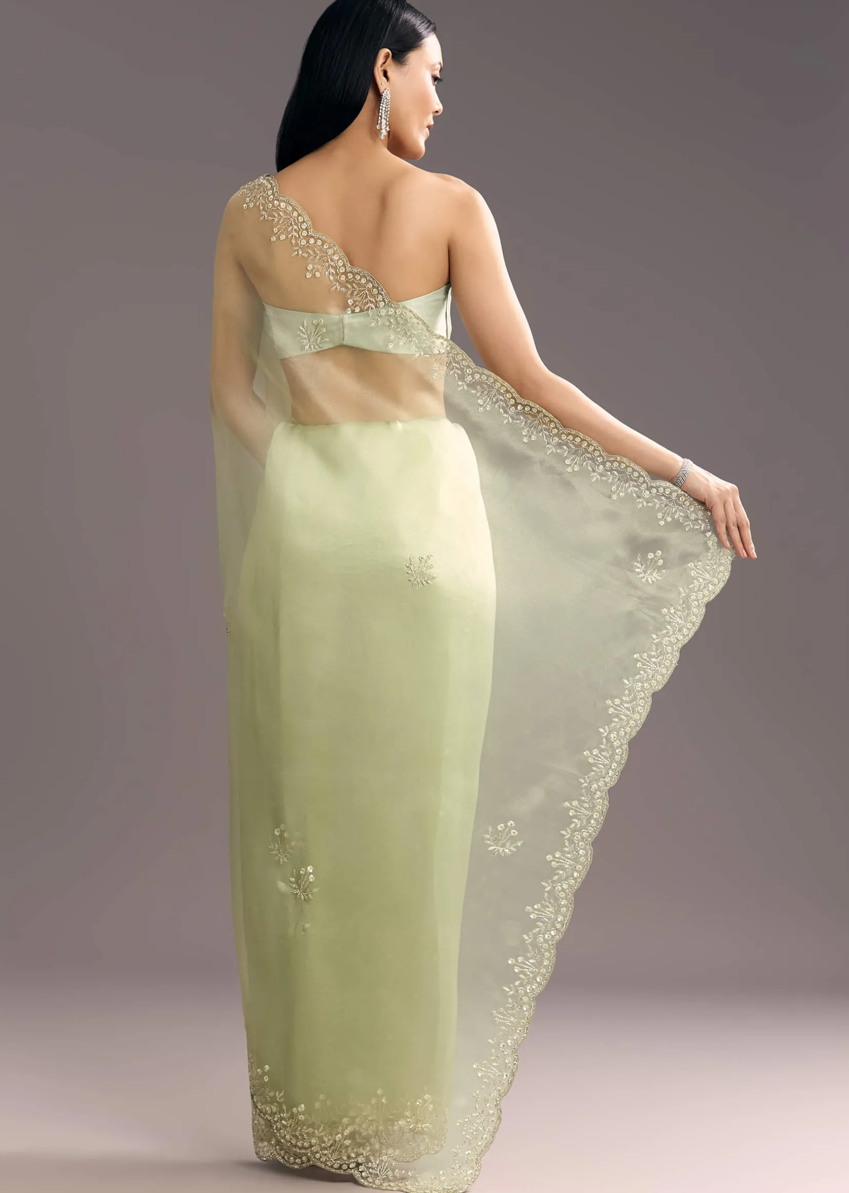 Apple Green Glass Tissue Saree With Cutdana Embroidery