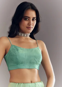 Aqua Green Organza Saree With Stones Beads And Sequins Embroidery And Scallop Border