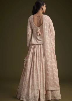 Baby Pink Georgette Lehenga Set With Lucknowi And Mirror Work