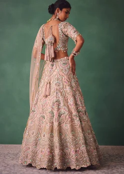 Baby Pink Jaal Work Lehenga With Sweetheart Neck Blouse And Embroidered Dupatta