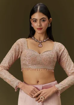 Baby Pink Tissue Saree With Velvet Embroidered Blouse