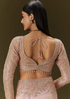 Baby Pink Tissue Saree With Velvet Embroidered Blouse