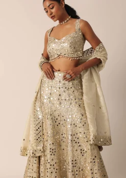 Beige Chanderi Mirror Embellished Lehenga Set
