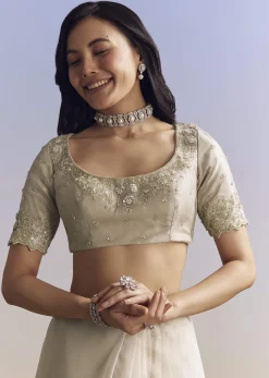 Beige Cream Tissue Saree With Floral Jaal