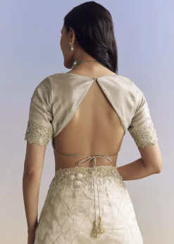 Beige Cream Tissue Saree With Floral Jaal