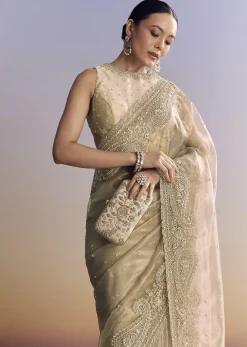 Beige Crush Tissue Saree With Multitech Embroidery