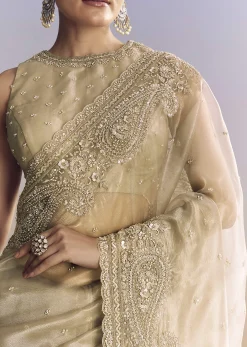 Beige Crush Tissue Saree With Multitech Embroidery