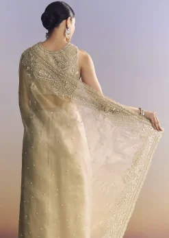 Beige Crush Tissue Saree With Multitech Embroidery