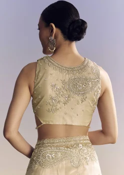 Beige Crush Tissue Saree With Multitech Embroidery