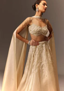 Beige Embroidered Blouse With Skirt And Choker Dupatta