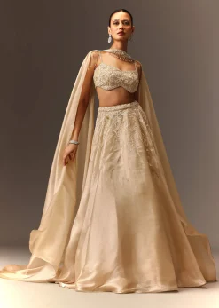 Beige Embroidered Blouse With Skirt And Choker Dupatta