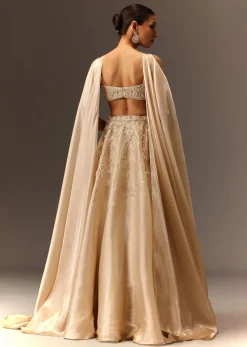 Beige Embroidered Blouse With Skirt And Choker Dupatta