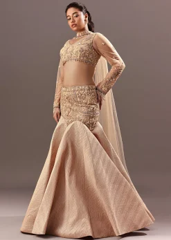 Beige Fish Cut Lehenga With Embroidered Yoke Blouse And Choker Dupatta