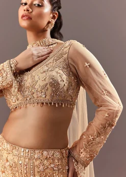 Beige Fish Cut Lehenga With Embroidered Yoke Blouse And Choker Dupatta