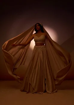 Beige Frill Skirt And Embroidered Blouse Set With Choker Dupatta