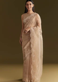 Beige Glass Tissue Embroidered Saree With Scallop Border