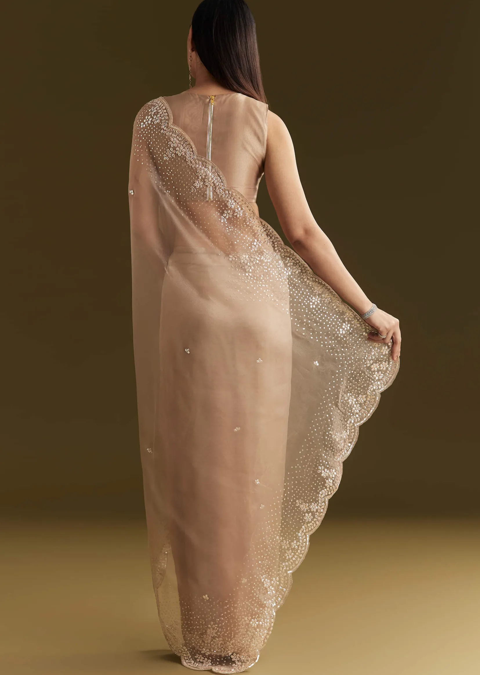 Beige Glass Tissue Embroidered Saree With Scallop Border