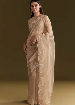 Beige Glass Tissue Embroidered Saree With Scallop Border
