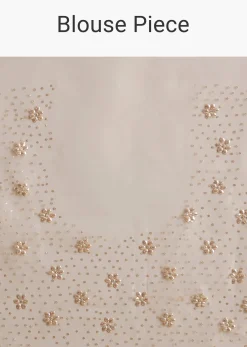 Beige Glass Tissue Embroidered Saree With Scallop Border