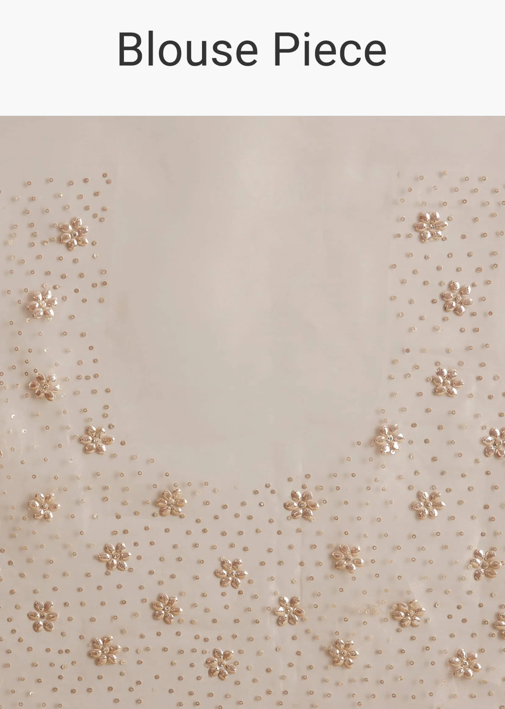 Beige Glass Tissue Embroidered Saree With Scallop Border