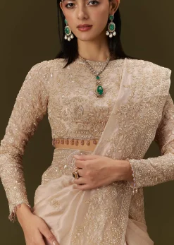Beige Ivory Tissue Saree With Velvet Embroidered Blouse
