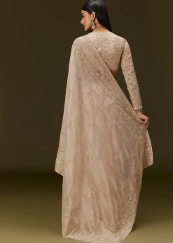 Beige Ivory Tissue Saree With Velvet Embroidered Blouse