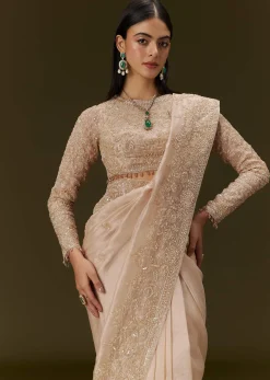 Beige Ivory Tissue Saree With Velvet Embroidered Blouse