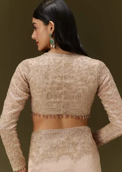 Beige Ivory Tissue Saree With Velvet Embroidered Blouse