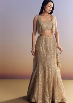 Beige Lehenga Set With Jacket And Cut Dana Embroidery