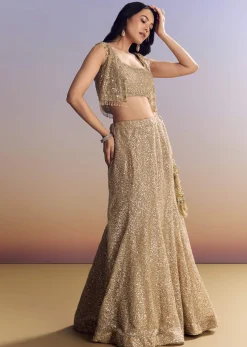 Beige Lehenga Set With Jacket And Cut Dana Embroidery