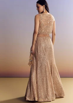 Beige Lehenga Set With Jacket And Cut Dana Embroidery