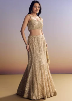 Beige Lehenga Set With Jacket And Cut Dana Embroidery