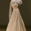 Beige Net Embroidered Blouse With Ruched Lehenga And Choker Dupatta