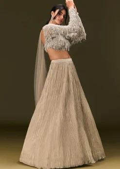Beige Net Embroidered Blouse With Ruched Lehenga And Choker Dupatta