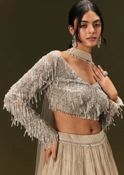 Beige Net Embroidered Blouse With Ruched Lehenga And Choker Dupatta