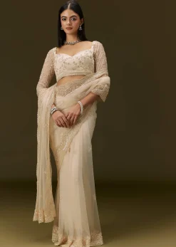 Beige Net Saree With Heavy All Over Embroidery