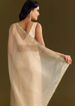 Beige Organza Tissue Saree With Cutdana And Beads Scallop Border
