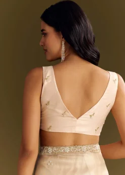 Beige Organza Tissue Saree With Cutdana And Beads Scallop Border