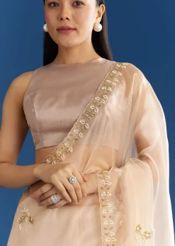 Beige Organza Tissue Saree With Cutdana Detailing