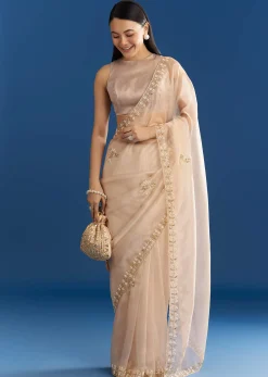 Beige Organza Tissue Saree With Cutdana Detailing