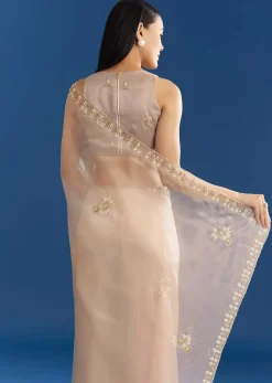 Beige Organza Tissue Saree With Cutdana Detailing