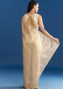 Beige Organza Tissue Saree With Embroidered Scallop