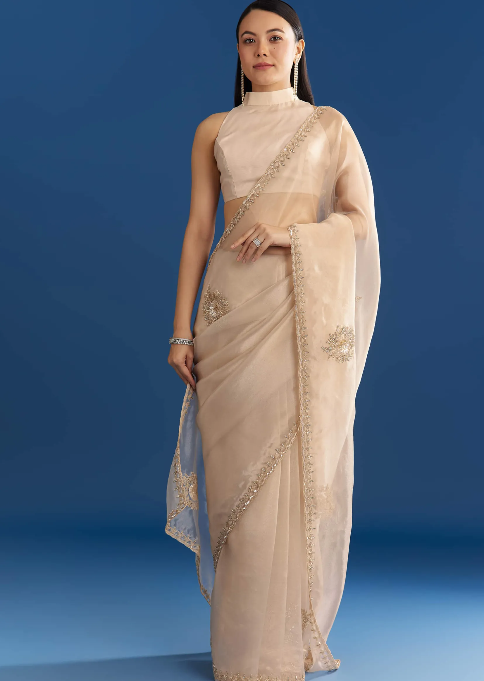 Beige Organza Tissue Saree With Delicate Embellished Edge