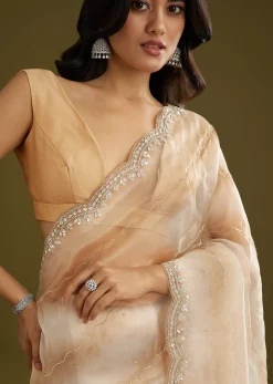 Beige Shaded Glass Tissue Saree With Stone Embellishment