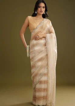 Beige Shaded Glass Tissue Saree With Stone Embellishment