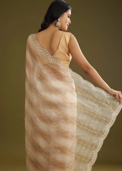 Beige Shaded Glass Tissue Saree With Stone Embellishment