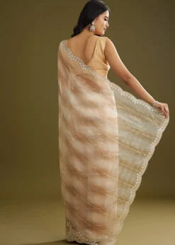 Beige Shaded Glass Tissue Saree With Stone Embellishment