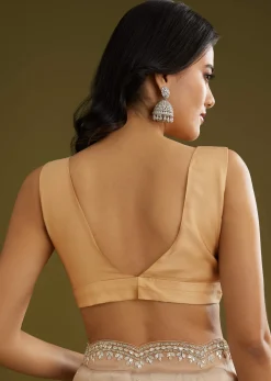 Beige Shaded Glass Tissue Saree With Stone Embellishment