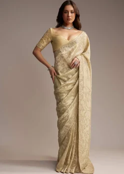 Beige Tissue Saree with Floral and Cutdana Embroidery
