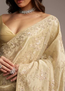Beige Tissue Saree with Floral and Cutdana Embroidery